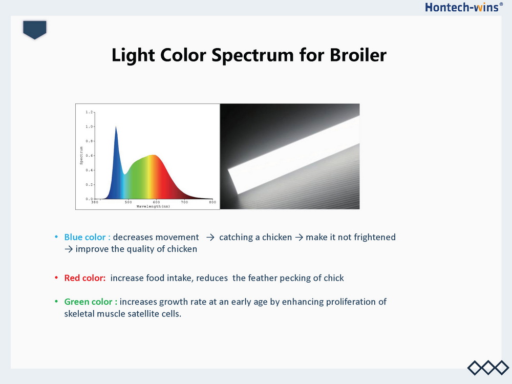 Light for Broiler